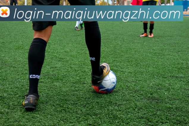 买球网址平台发展历程